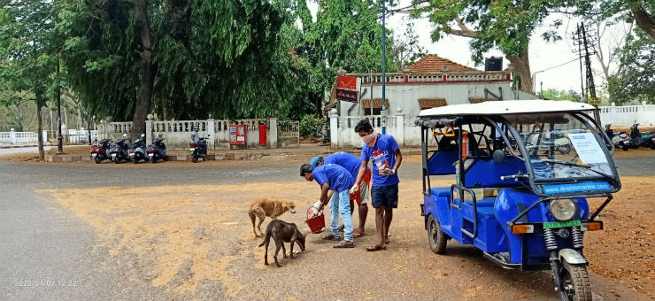 Helping Dogs on Cars During COVID-19 Lockdown