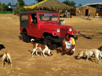 Helping Dogs on Cars During COVID-19 Lockdown