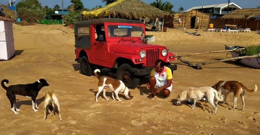 Stray Animals Feeding Mahindra Jeep Featured - Helping Dogs on Cars During COVID-19 Lockdown